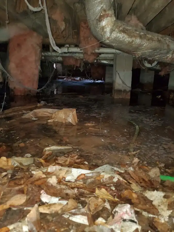Crawl space flood assessment for Commercial Water Damage Restoration in La Palma